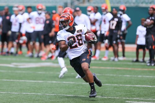 joe-mixon-fantasy-football